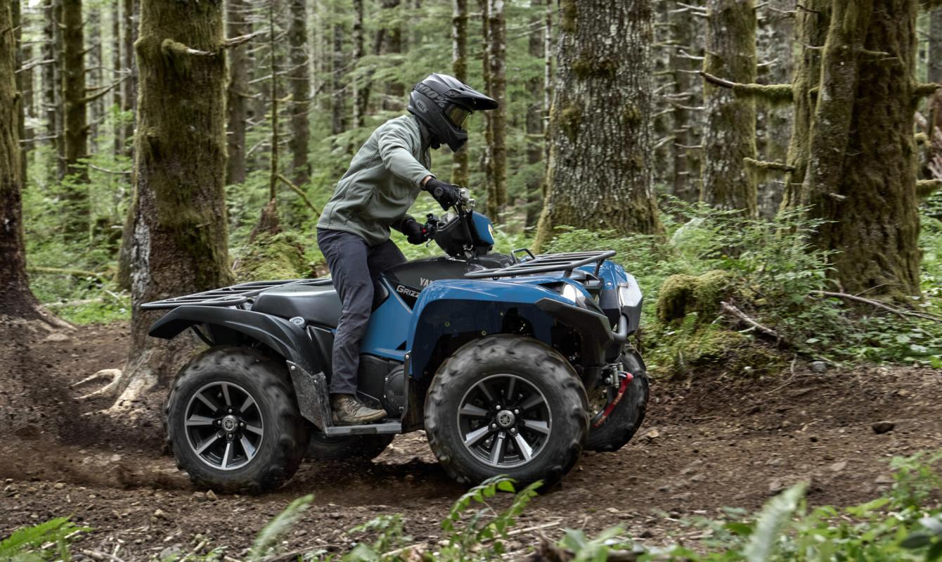 Grizzly 700 EPS SE - Naturmar, Yamaha