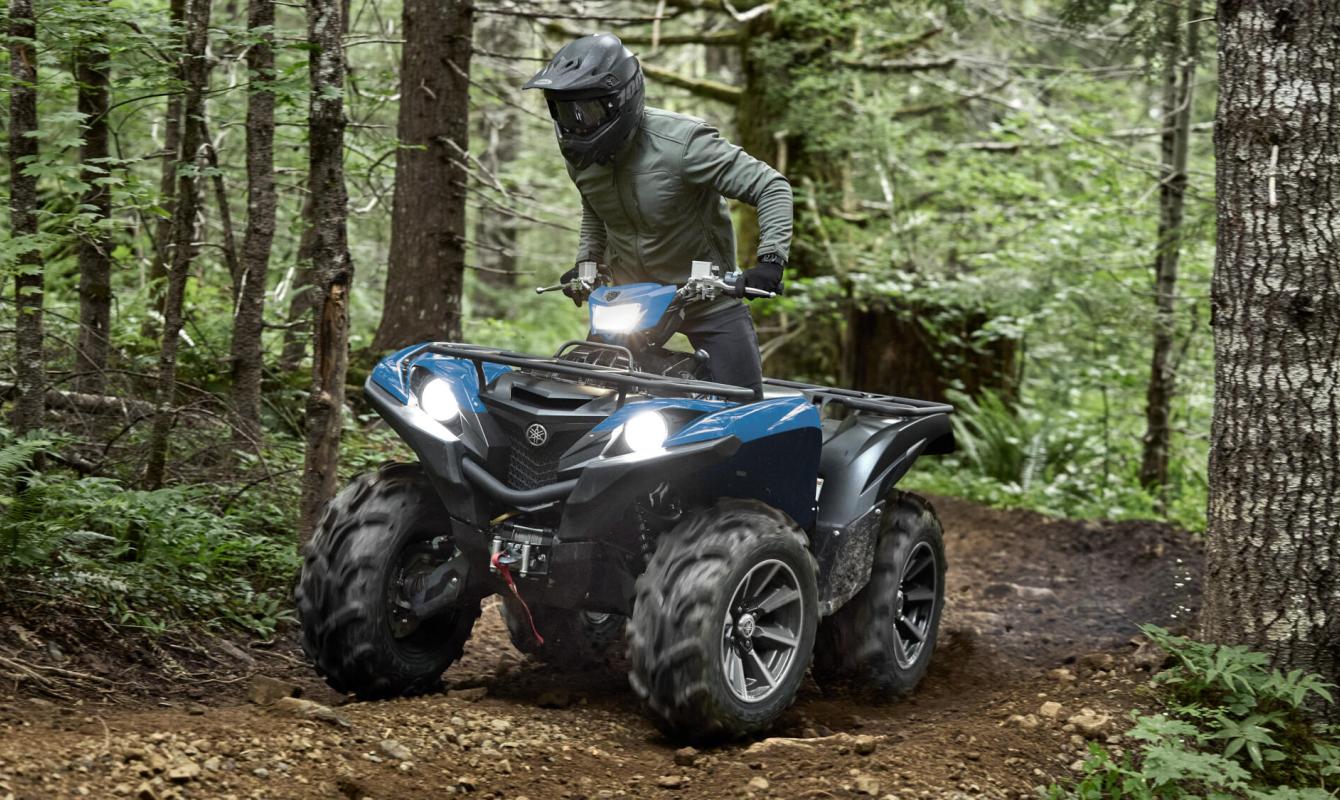 Grizzly 700 EPS SE - Naturmar, Yamaha