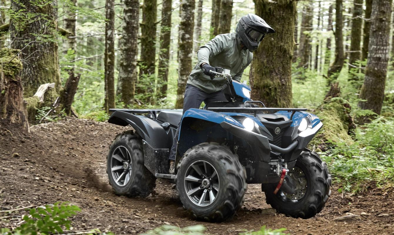 Grizzly 700 EPS SE - Naturmar, Yamaha