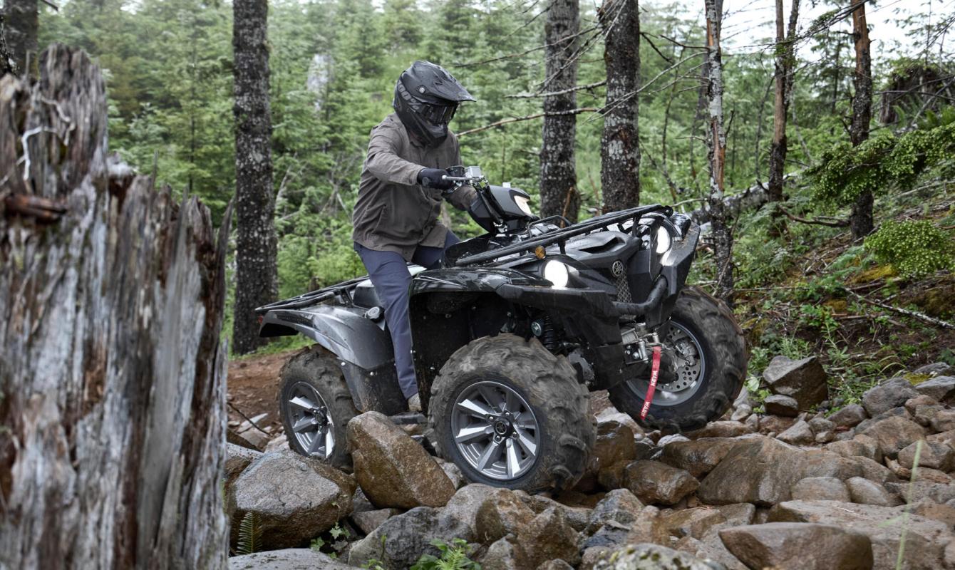 Grizzly 700 EPS SE - Naturmar, Yamaha