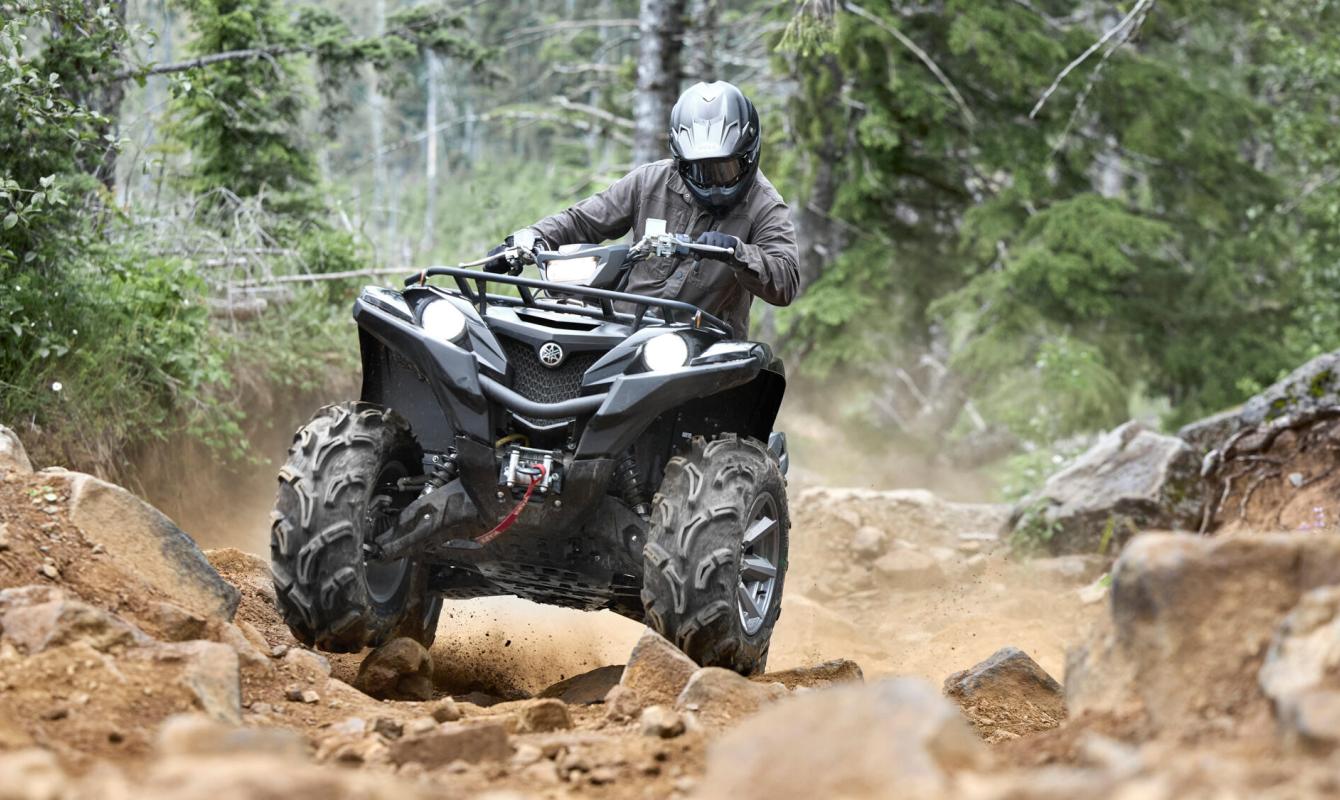 Grizzly 700 EPS SE - Naturmar, Yamaha